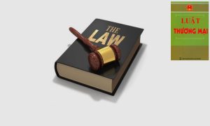 Câu hỏi tự luật môn luật thương mại 2 có lời giải