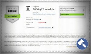 DMCA là gì? Vì sao website cần DMCA? Cách report DMCA?
