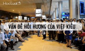 Điều kiện xin hồi hương và thủ tục hồi hương của người Việt Kiều
