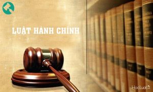 Đề cương môn luật hành chính – Đại học luật Hà Nội