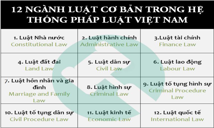 12 ngành luật cơ bản trong hệ thống pháp luật Việt Nam