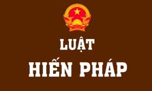 Phân tích các tư tưởng xuyên suốt trong lịch sử lập hiến Việt Nam