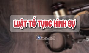 Câu hỏi ôn tập môn Luật Tố tụng hình sự Việt Nam