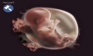 Tội phá thai trái phép theo quy định của Bộ luật hình sự 2015