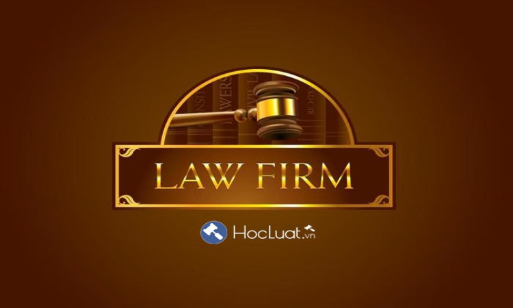 Công ty luật (Law Firm)
