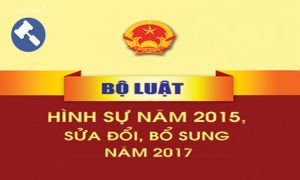 Cấu tạo của Bộ luật Hình sự Việt Nam