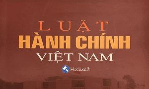 Luật hành chính Việt Nam – ngành luật về hành chính nhà nước