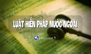 Vấn đề nghiên cứu khoa học luật hiến pháp nước ngoài ở Việt Nam