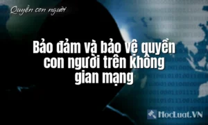 Bảo đảm và bảo vệ quyền con người trên không gian mạng