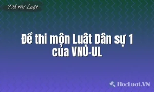Tổng hợp đề thi môn Luật Dân sự 1 của VNU-UL