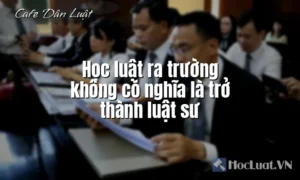 Học luật ra trường không có nghĩa là trở thành luật sư