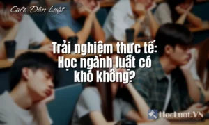 Trải nghiệm thực tế: Học ngành luật có khó không?