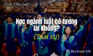 Học ngành luật có tương lai không?